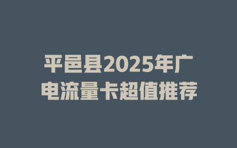 平邑县2025年广电流量卡超值推荐