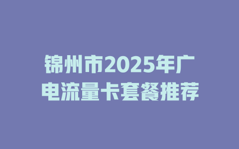 锦州市2025年广电流量卡套餐推荐