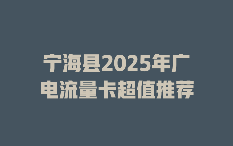 宁海县2025年广电流量卡超值推荐