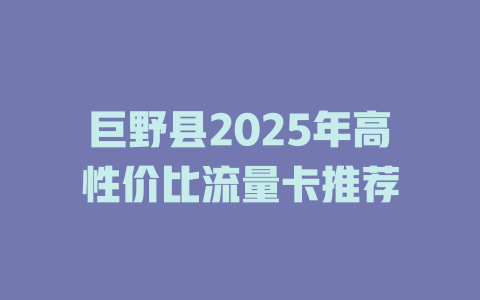 巨野县2025年高性价比流量卡推荐