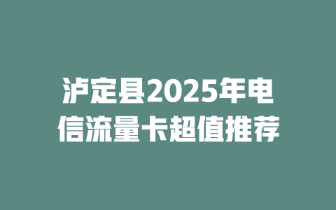 泸定县2025年电信流量卡超值推荐