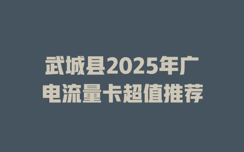 武城县2025年广电流量卡超值推荐