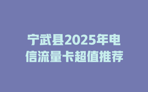宁武县2025年电信流量卡超值推荐