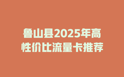 鲁山县2025年高性价比流量卡推荐
