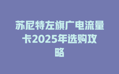苏尼特左旗广电流量卡2025年选购攻略