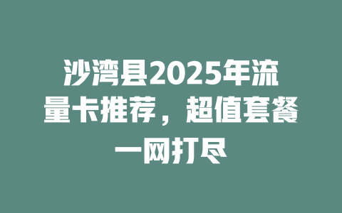 沙湾县2025年流量卡推荐，超值套餐一网打尽