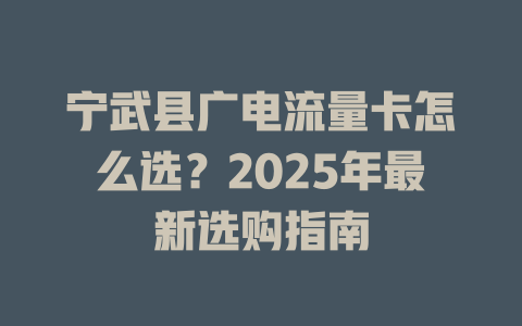 宁武县广电流量卡怎么选？2025年最新选购指南