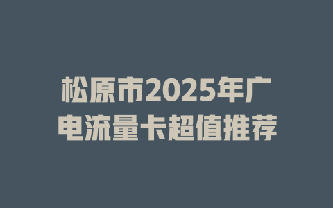 松原市2025年广电流量卡超值推荐