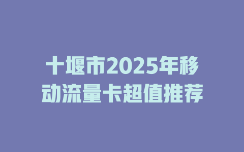 十堰市2025年移动流量卡超值推荐