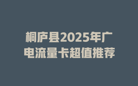 桐庐县2025年广电流量卡超值推荐