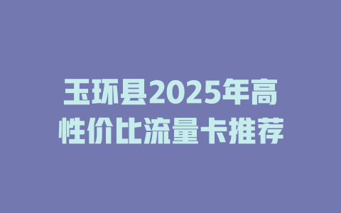玉环县2025年高性价比流量卡推荐