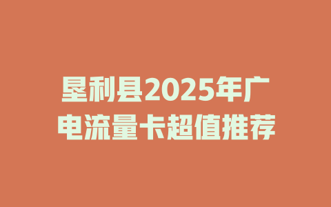 垦利县2025年广电流量卡超值推荐