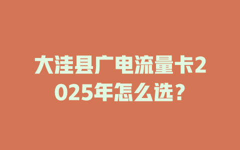 大洼县广电流量卡2025年怎么选？
