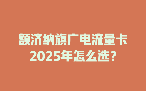额济纳旗广电流量卡2025年怎么选？