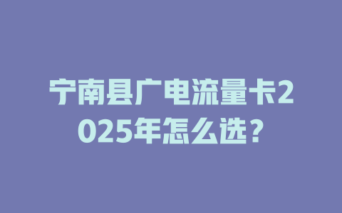 宁南县广电流量卡2025年怎么选？