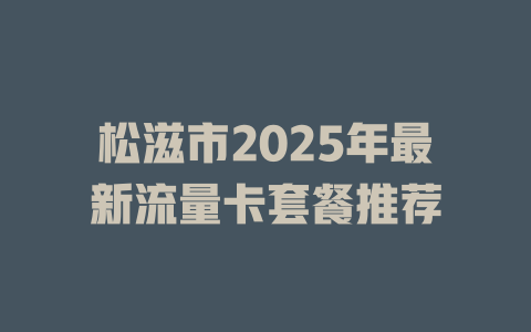 松滋市2025年最新流量卡套餐推荐