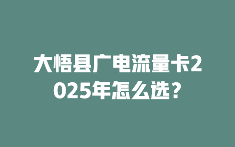 大悟县广电流量卡2025年怎么选？
