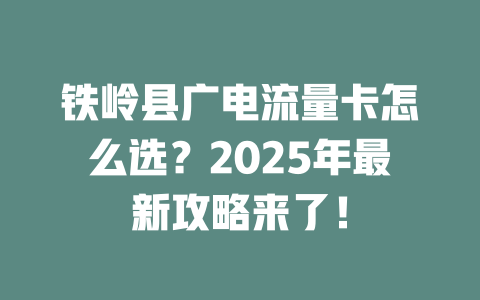铁岭县广电流量卡怎么选？2025年最新攻略来了！