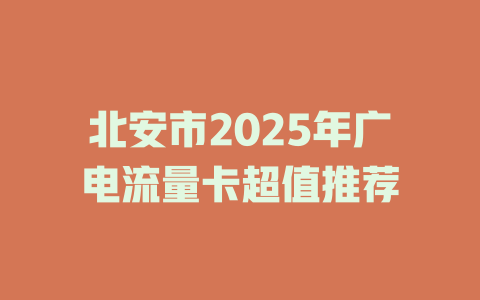北安市2025年广电流量卡超值推荐