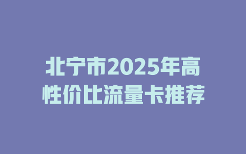 北宁市2025年高性价比流量卡推荐