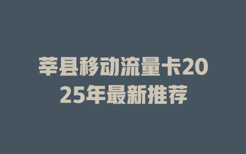 莘县移动流量卡2025年最新推荐