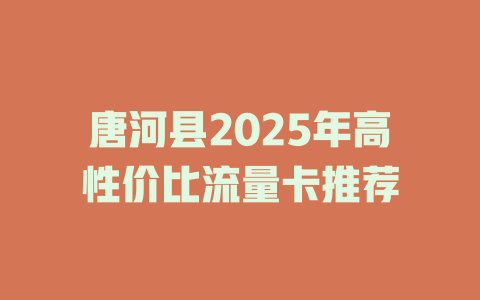 唐河县2025年高性价比流量卡推荐