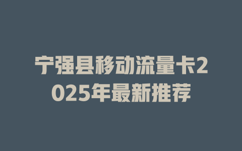 宁强县移动流量卡2025年最新推荐