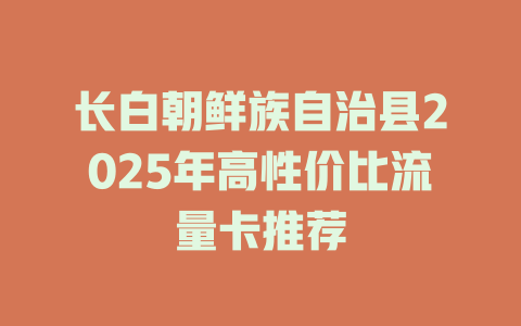长白朝鲜族自治县2025年高性价比流量卡推荐