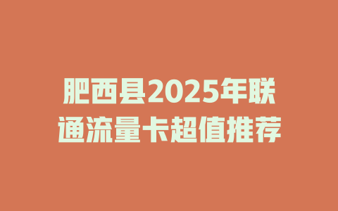 肥西县2025年联通流量卡超值推荐