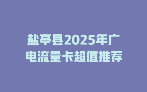 盐亭县2025年广电流量卡超值推荐