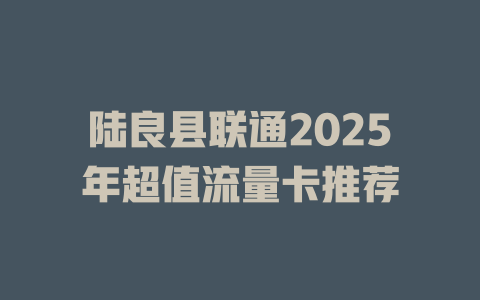 陆良县联通2025年超值流量卡推荐