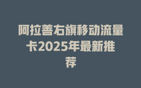 阿拉善右旗移动流量卡2025年最新推荐