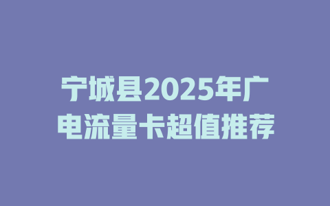 宁城县2025年广电流量卡超值推荐