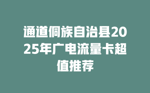 通道侗族自治县2025年广电流量卡超值推荐