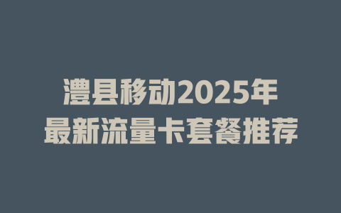 澧县移动2025年最新流量卡套餐推荐