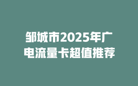 邹城市2025年广电流量卡超值推荐