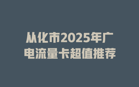 从化市2025年广电流量卡超值推荐