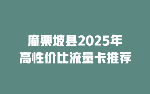 麻栗坡县2025年高性价比流量卡推荐