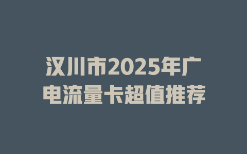 汉川市2025年广电流量卡超值推荐