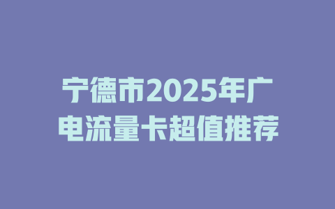 宁德市2025年广电流量卡超值推荐