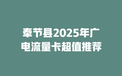 奉节县2025年广电流量卡超值推荐