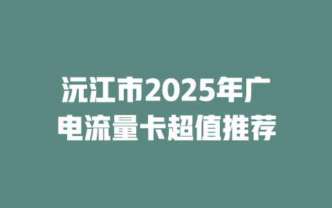 沅江市2025年广电流量卡超值推荐