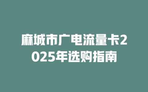 麻城市广电流量卡2025年选购指南