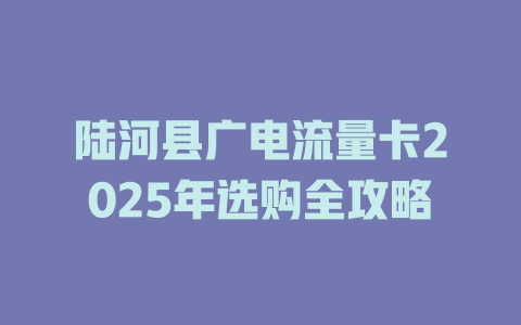 陆河县广电流量卡2025年选购全攻略