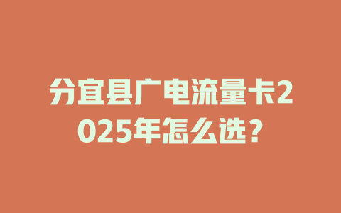 分宜县广电流量卡2025年怎么选？
