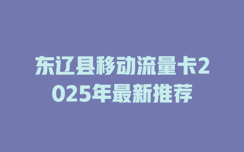 东辽县移动流量卡2025年最新推荐