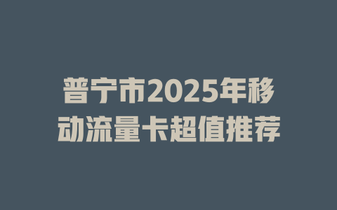 普宁市2025年移动流量卡超值推荐