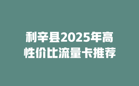 利辛县2025年高性价比流量卡推荐