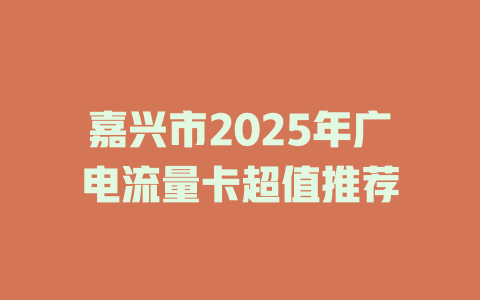 嘉兴市2025年广电流量卡超值推荐
