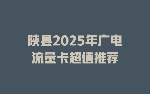 陕县2025年广电流量卡超值推荐